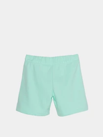 Шорти NIKE Sportswear модель DA1405-379 Фото
