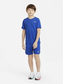 Футболки и поло NIKE Dri-FIT Miler модель DD3055-480 Фото