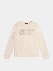 Худи и свитшоты GUESS модель J2BQ05.KAD73;G67C Фото