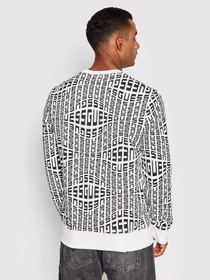 Худи и свитшоты GUESS Salmo Cn Fleece модель M2YQ18.K68I1;P04Q Фото