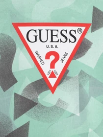 Худі та світшоти GUESS модель L3YQ01.KA6R3;P6GM Фото