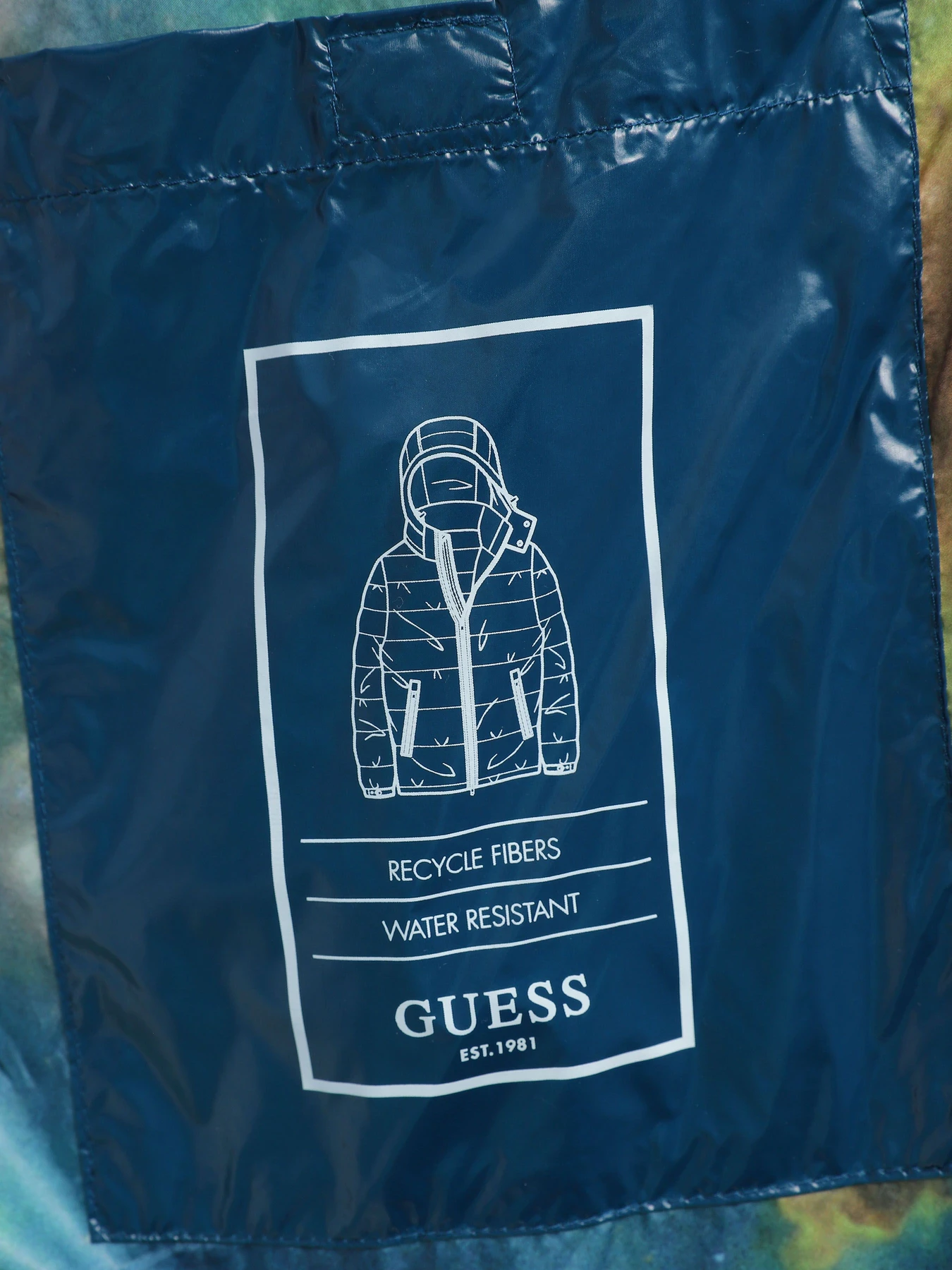Куртки и дубленки GUESS Liquid Puffa модель M3BL27.WFP42;G7M3 Куртки и дубленки GUESS Liquid Puffa модель M3BL27.WFP42;G7M3 Фото