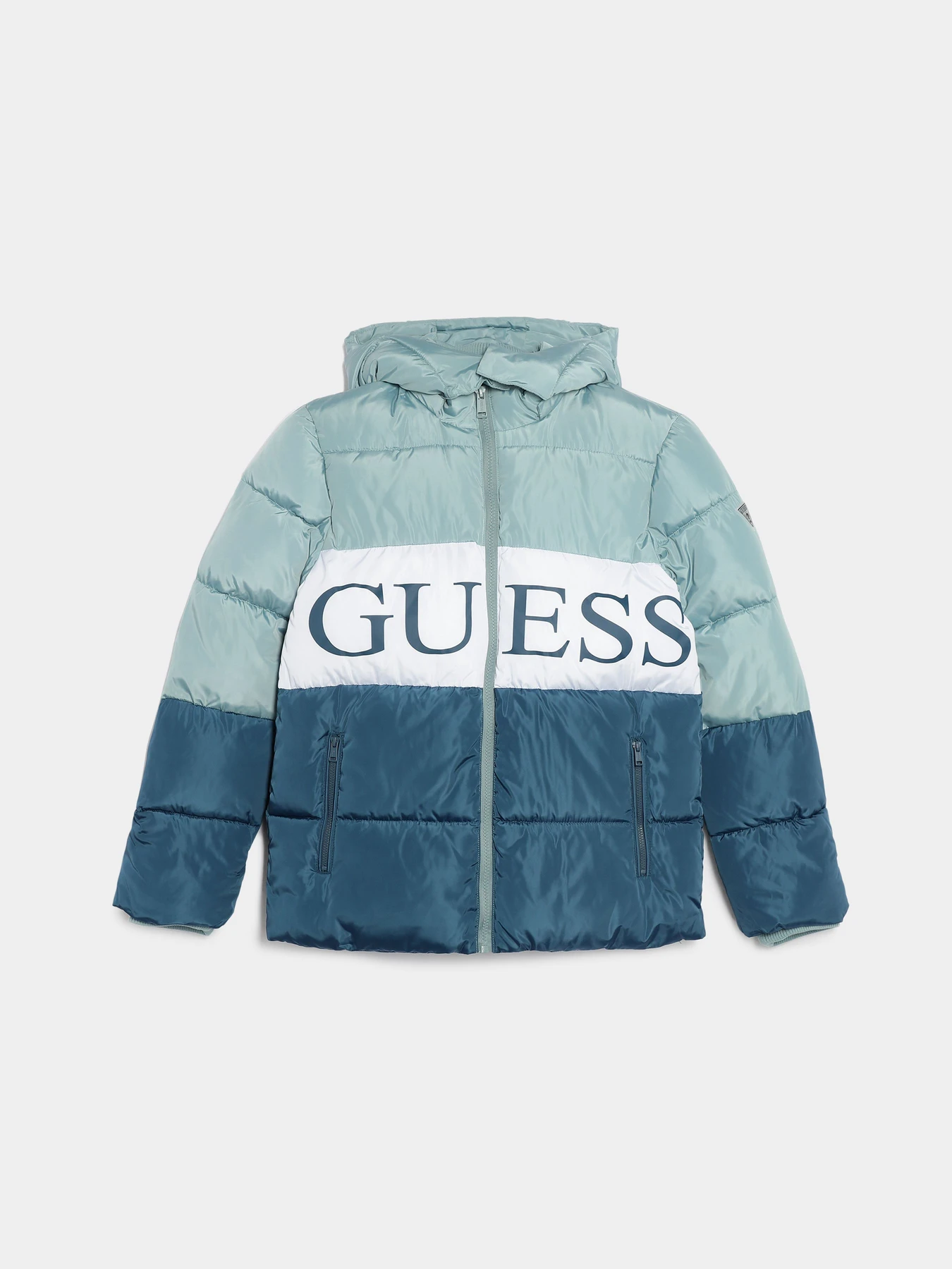 Куртки и дубленки GUESS модель L3BL02.WB240;FP27 Фото