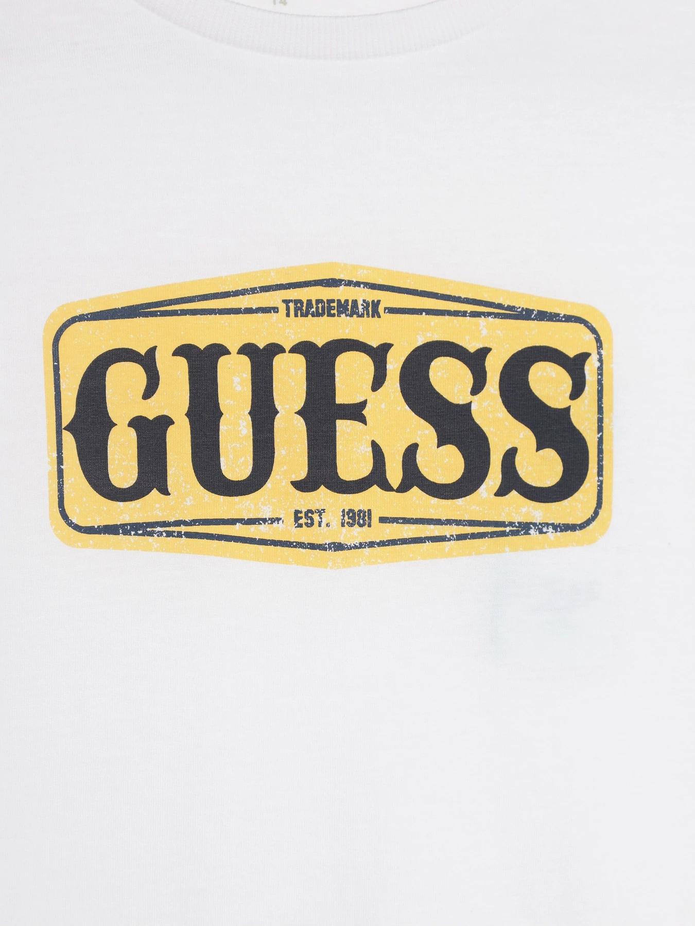 Худі та світшоти GUESS модель L3BI00.I3Z14;G011 Худі та світшоти GUESS модель L3BI00.I3Z14;G011 Фото