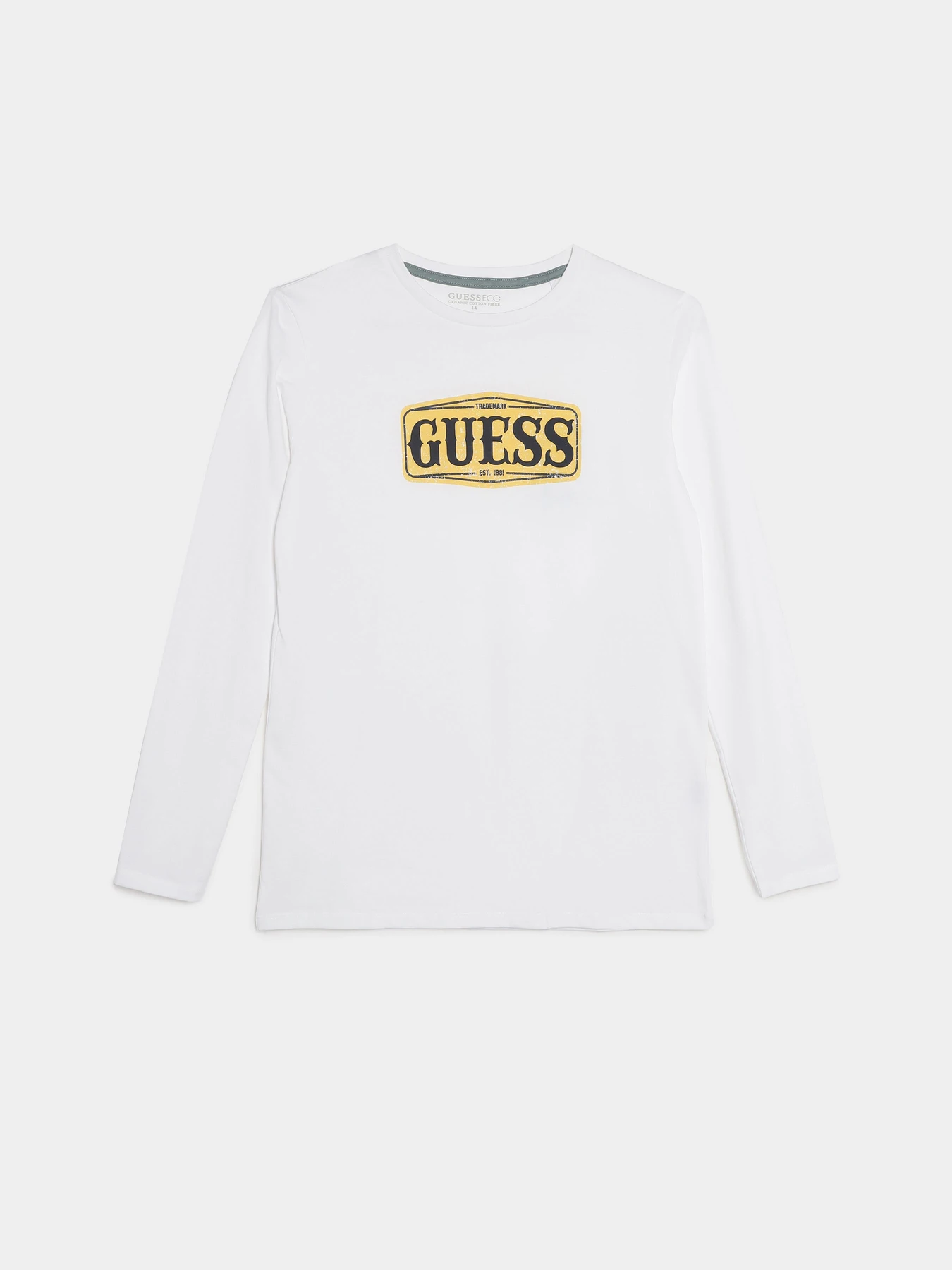 Худі та світшоти GUESS модель L3BI00.I3Z14;G011 Худі та світшоти GUESS модель L3BI00.I3Z14;G011 Фото