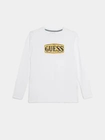 Худи и свитшоты GUESS модель L3BI00.I3Z14;G011 Фото