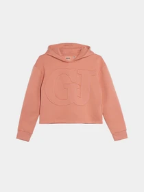Худі та світшоти GUESS Active Mini Me модель J3BQ21.KBXX1;G64X Фото