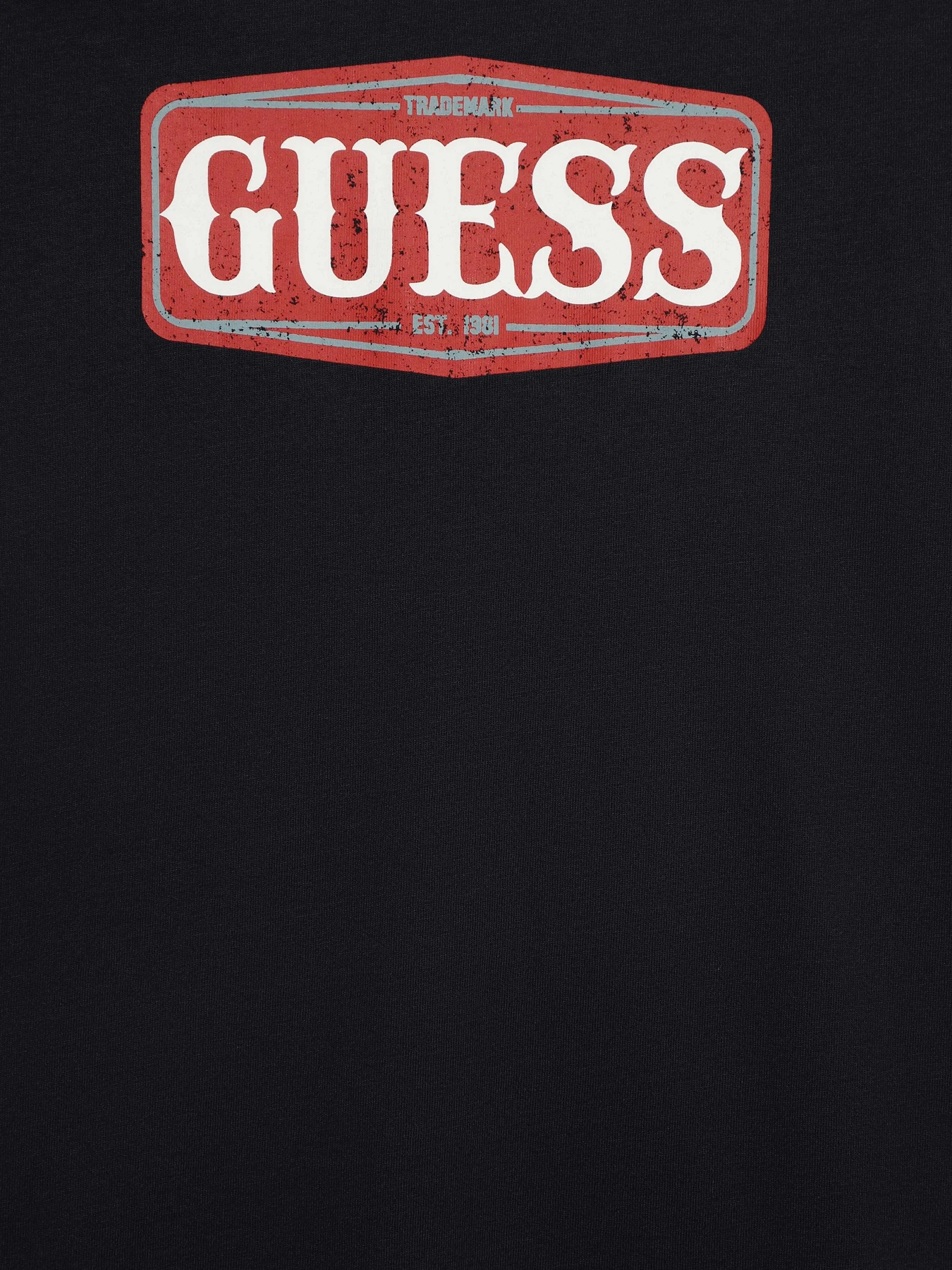 Худі та світшоти GUESS модель L3BI00.I3Z14;G7V2 Худі та світшоти GUESS модель L3BI00.I3Z14;G7V2 Фото
