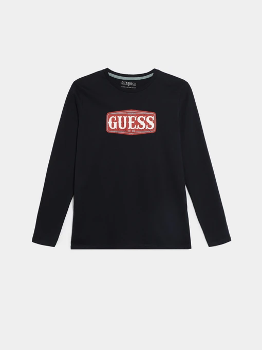 Худи и свитшоты GUESS модель L3BI00.I3Z14;G7V2 Фото