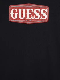 Худі та світшоти GUESS модель L3BI00.I3Z14;G7V2 Фото