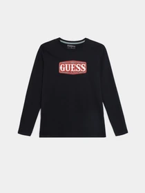 Худі та світшоти GUESS модель L3BI00.I3Z14;G7V2 Фото