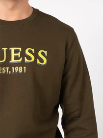 Худи и свитшоты GUESS модель M0BQ76-K9V31-G1AM Фото