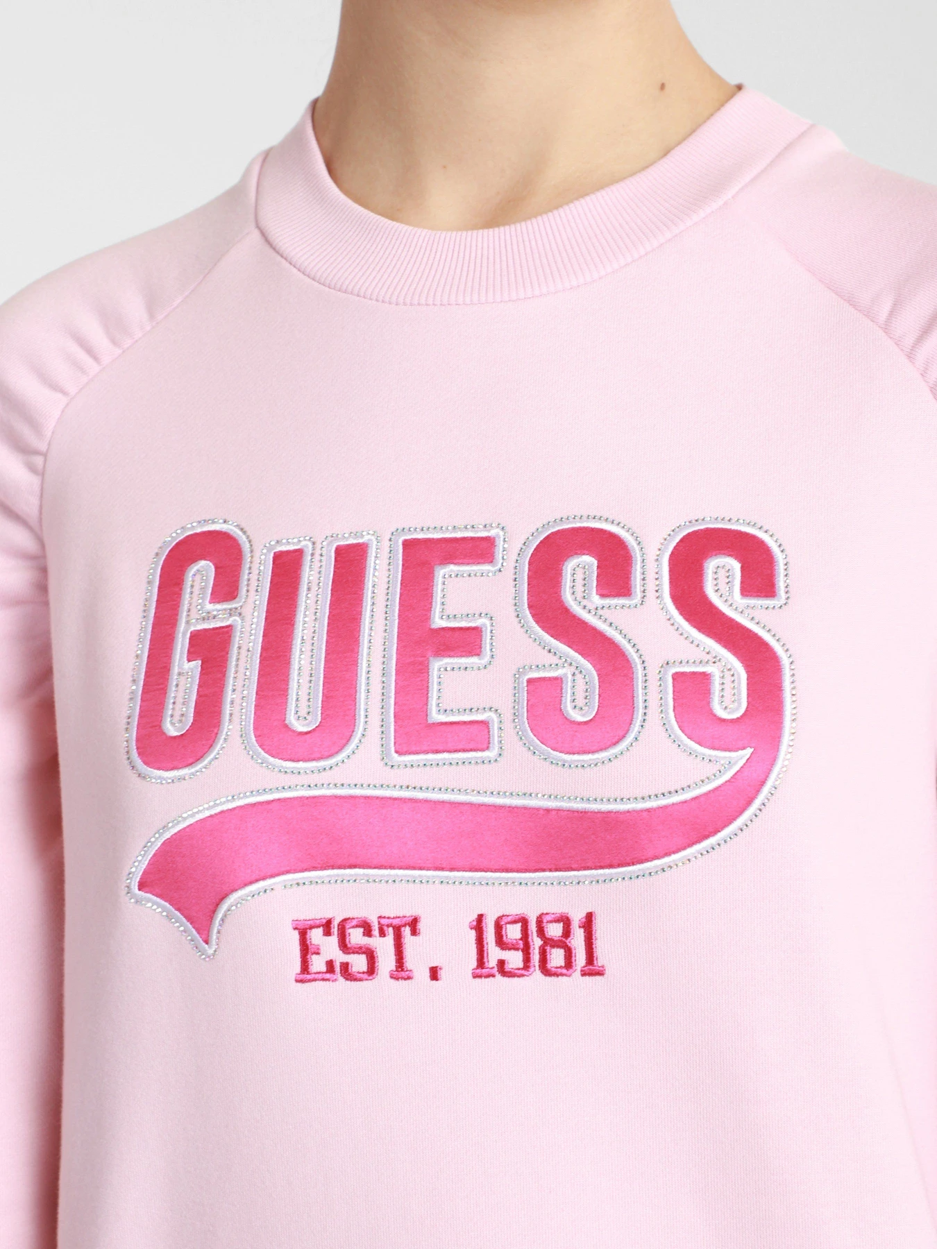 Худі та світшоти GUESS Front Logo модель W1GQ36-K68I0-G600 Фото