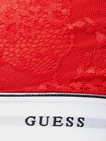 Нижнее белье GUESS модель O97C02-PZ01C-G587 Фото