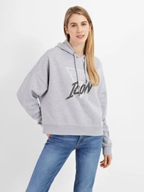 Худи и свитшоты GUESS Icon модель W2RQ07.K68I0;LHY Фото