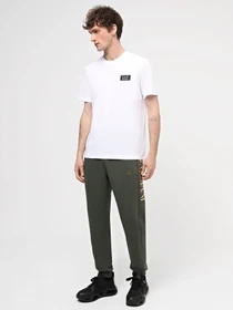 Брюки EA7 Logo Series модель 6RPP96-PJHLZ-1845 Фото