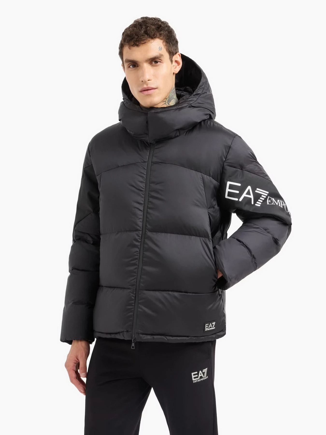 Куртки и дубленки EA7 модель 6DPB33-PNEOZ-1200 Куртки и дубленки EA7 модель 6DPB33-PNEOZ-1200 Фото