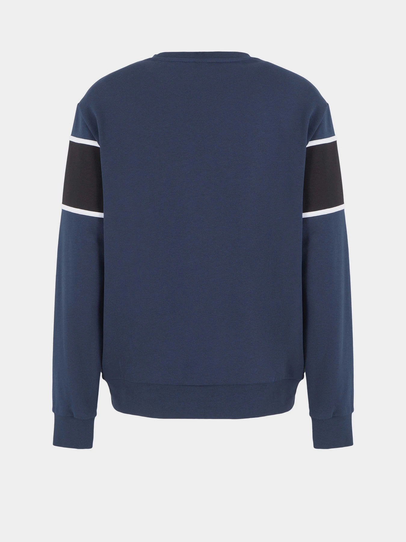 Худі та світшоти EA7 Athletic Colour Block модель 6DPM80-PJTKZ-1562 Худі та світшоти EA7 Athletic Colour Block модель 6DPM80-PJTKZ-1562 Фото