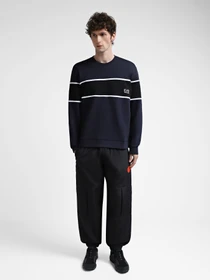 Худі та світшоти EA7 Athletic Colour Block модель 6DPM80-PJTKZ-1562 Фото