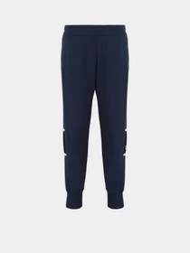 Брюки EA7 Athletic Colour Block модель 6DPP92-PJTKZ-1562 Фото
