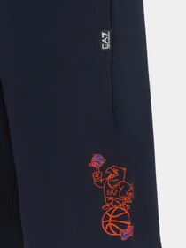 Шорты EA7 Graphic Series модель 7M000106-AF12451-UB102 Фото