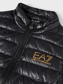 Жилеты EA7 модель 8NPQ01-PN29Z-0208 Фото