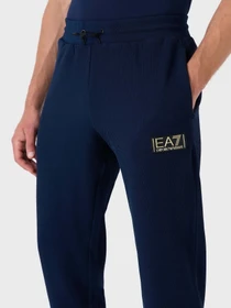 Брюки EA7 Gold Label модель 6RPP70-PJG1Z-1554 Фото
