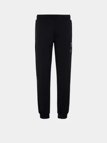 Брюки EA7 Sport Comfort модель 6RPP75-PJGEZ-1200 Фото