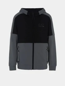 Худи и свитшоты EA7 Athletic Colour Block модель 6RPM33-PJEQZ-1977 Фото