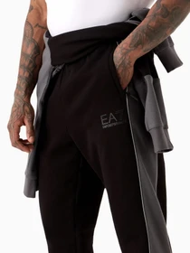 Брюки EA7 Athletic Colour Block модель 6RPP64-PJ07Z-1200 Фото