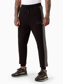 Штани EA7 Athletic Colour Block модель 6RPP64-PJ07Z-1200 Фото