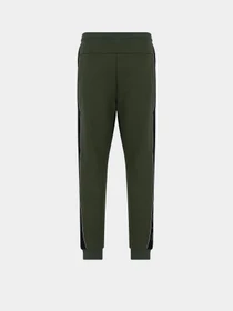Брюки EA7 Athletic Colour Block модель 6RPP64-PJ07Z-1845 Фото