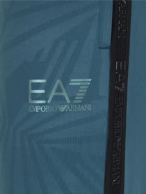 Штани EA7 Vigor7 модель 3DPP55-PJAHZ-1821 Фото