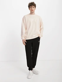 Худі та світшоти EA7 Unisex Dyed Summer модель 3RUM05-PJLMZ-1712 Фото