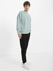 Худи и свитшоты EA7 Unisex Dyed Summer модель 3RUM05-PJLMZ-1954 Фото