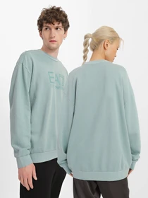 Худи и свитшоты EA7 Unisex Dyed Summer модель 3RUM05-PJLMZ-1954 Фото