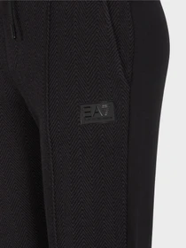 Брюки EA7 Sporty Forever модель 6RTP92-TJPVZ-0224 Фото