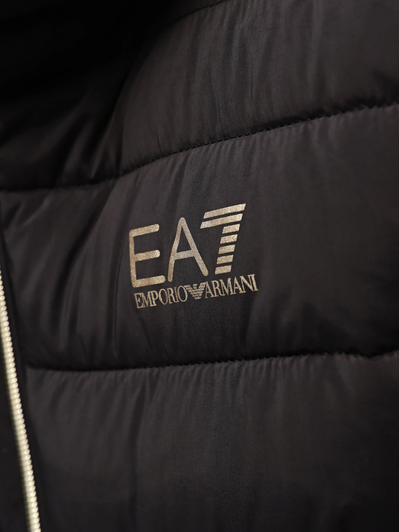 Куртки и дубленки EA7 MOUNTAIN CALIDUM7 модель 6RTL01-TNDAZ-0200 Фото