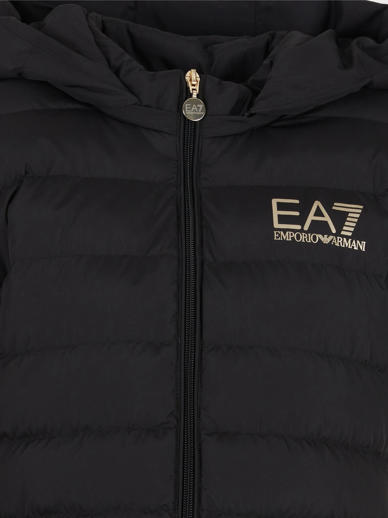 Куртки и дубленки EA7 Core модель 3DTB01-TNF8Z-0200 Куртки и дубленки EA7 Core модель 3DTB01-TNF8Z-0200 Фото