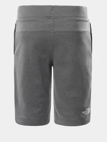 Шорты The North Face Surgent модель NF0A4CABDYY1 Фото