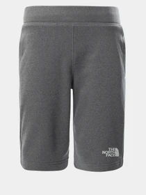 Шорты The North Face Surgent модель NF0A4CABDYY1 Фото