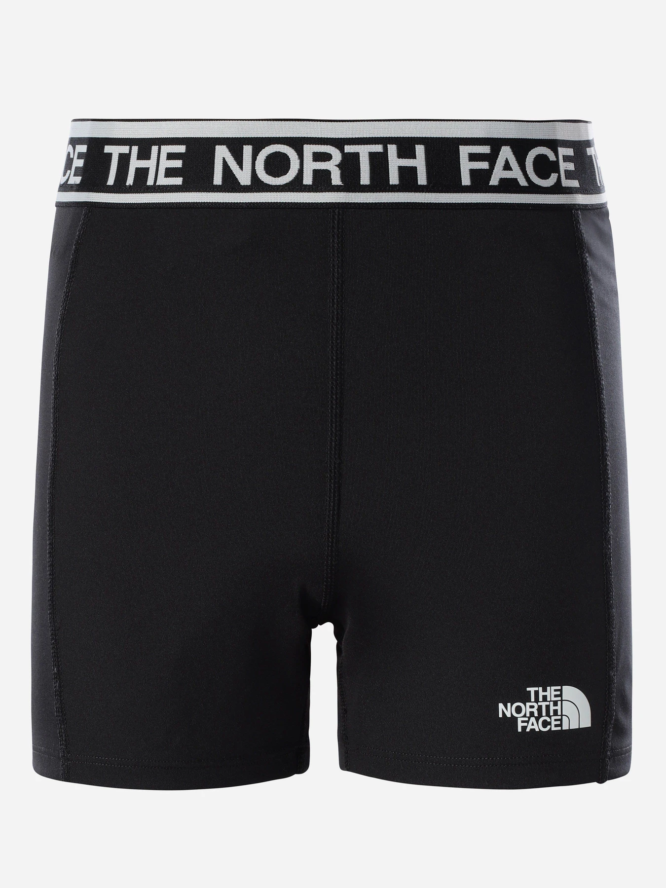 Шорты The North Face модель NF0A55TKJK31 Фото