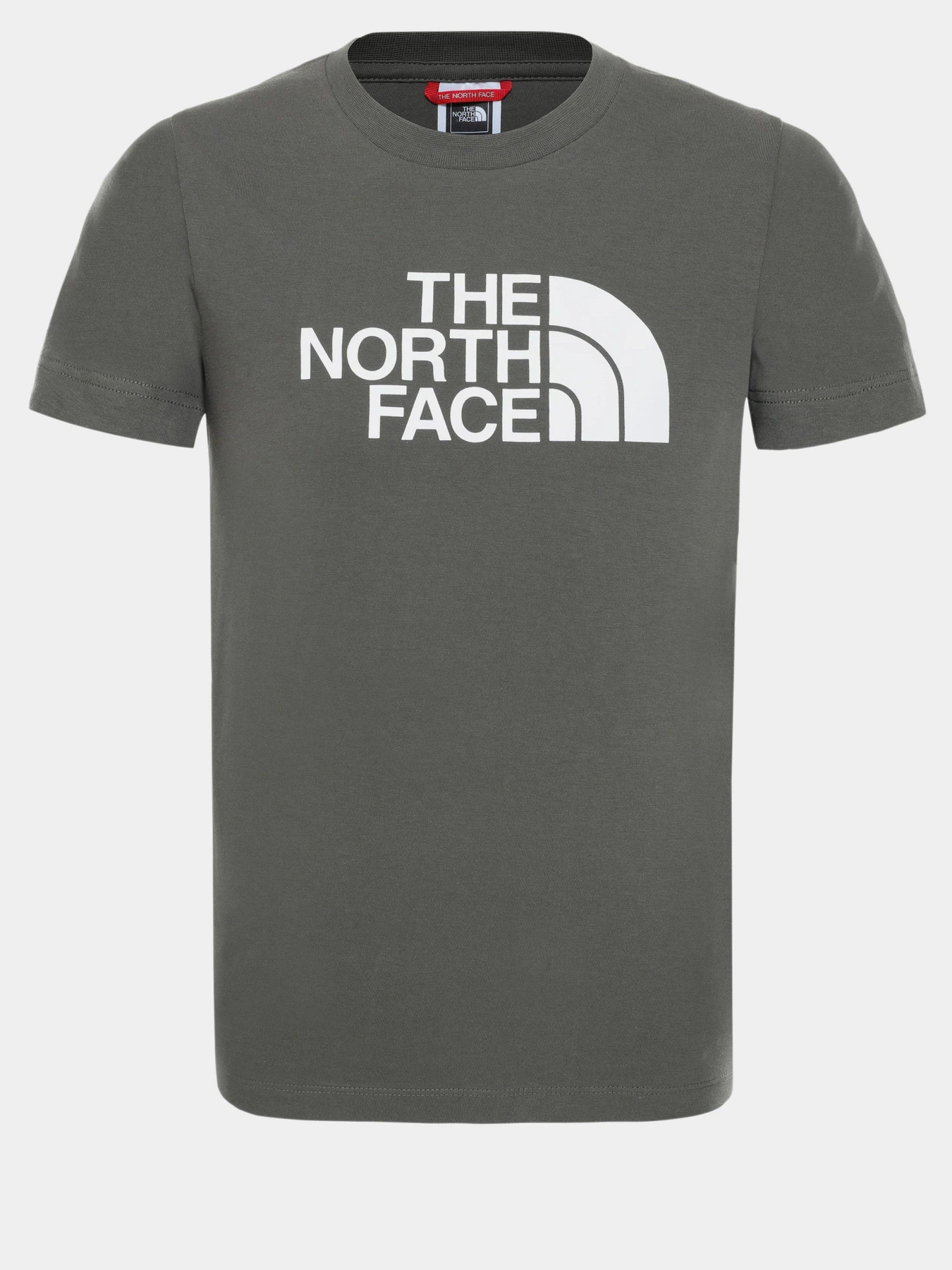 Футболки и поло The North Face EASY модель NF00A3P7KR51 Фото