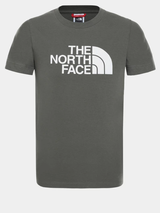 Футболки і поло The North Face EASY модель NF00A3P7KR51 Фото
