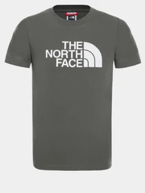 Футболки и поло The North Face EASY модель NF00A3P7KR51 Фото