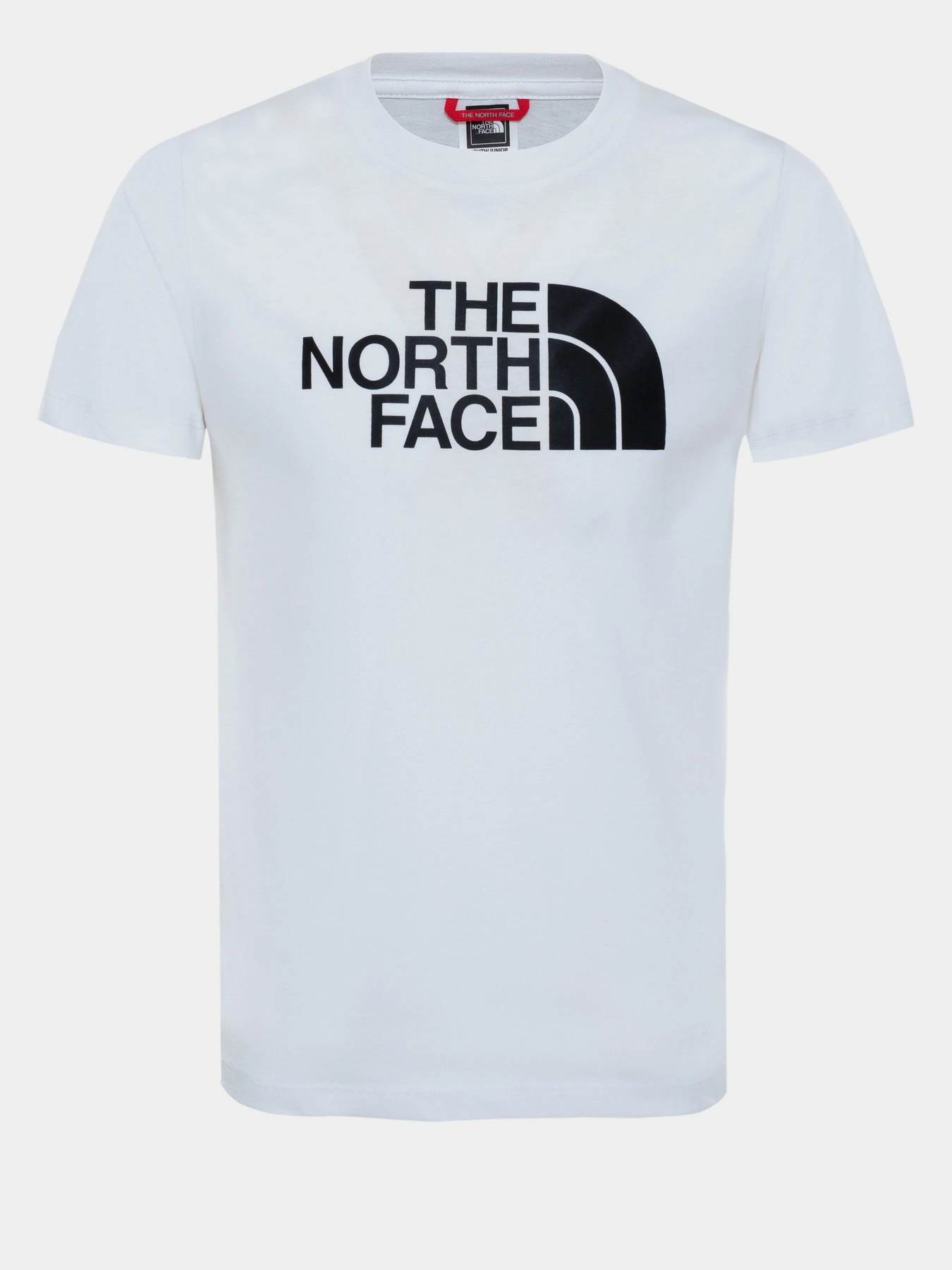 Футболки і поло The North Face EASY модель NF00A3P7LA91 Фото