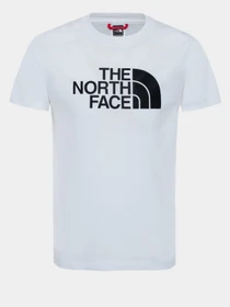 Футболки і поло The North Face EASY модель NF00A3P7LA91 Фото