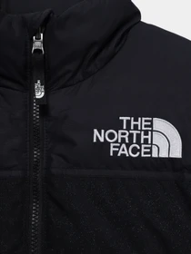 Куртки та дублянки The North Face 1996 Printed Retro Nuptse модель NF0A5IYCJK31 Фото