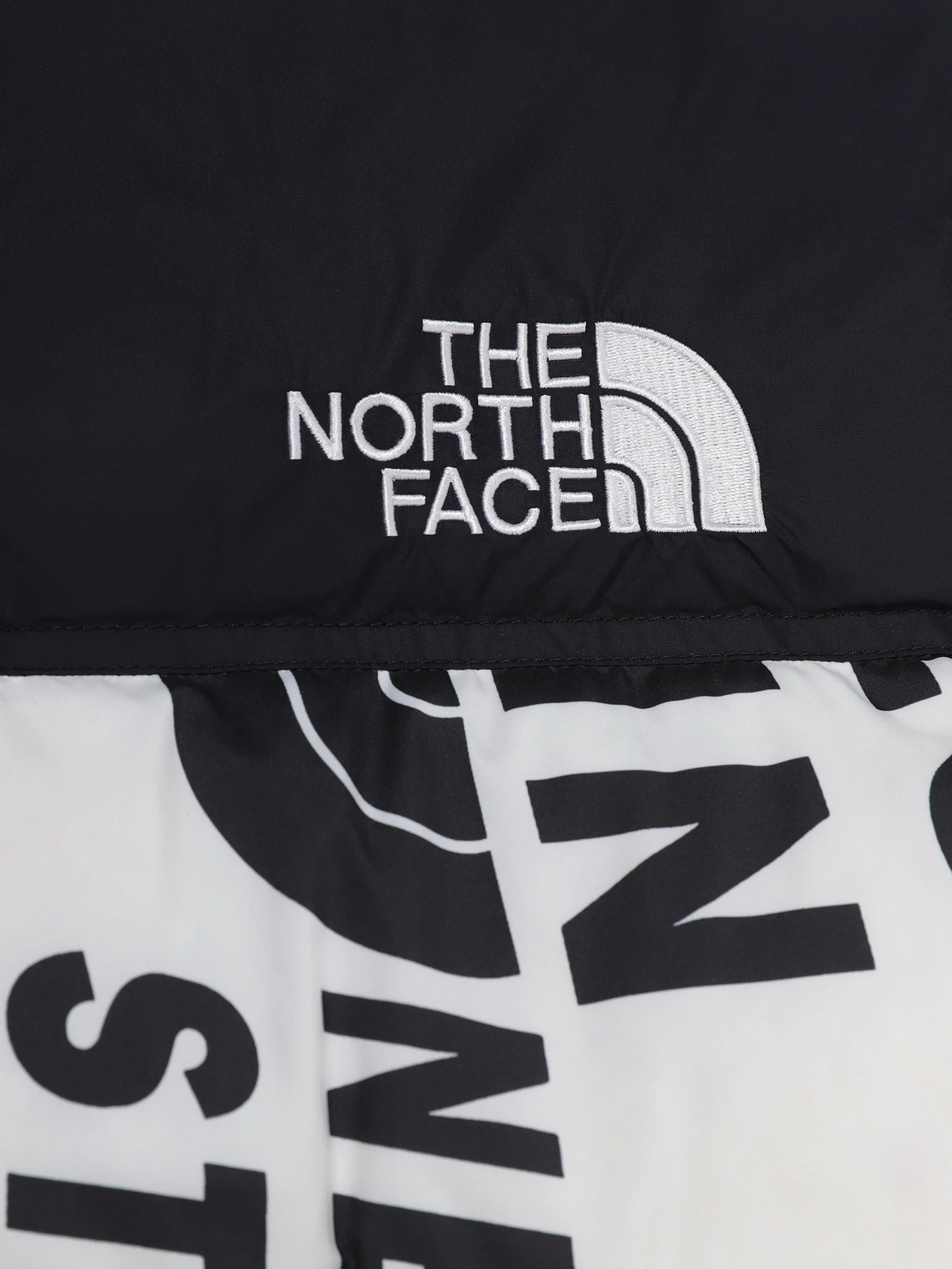 Куртки и дубленки The North Face 1996 Printed Retro Nuptse модель NF0A5IYC2B21 Куртки и дубленки The North Face 1996 Printed Retro Nuptse модель NF0A5IYC2B21 Фото