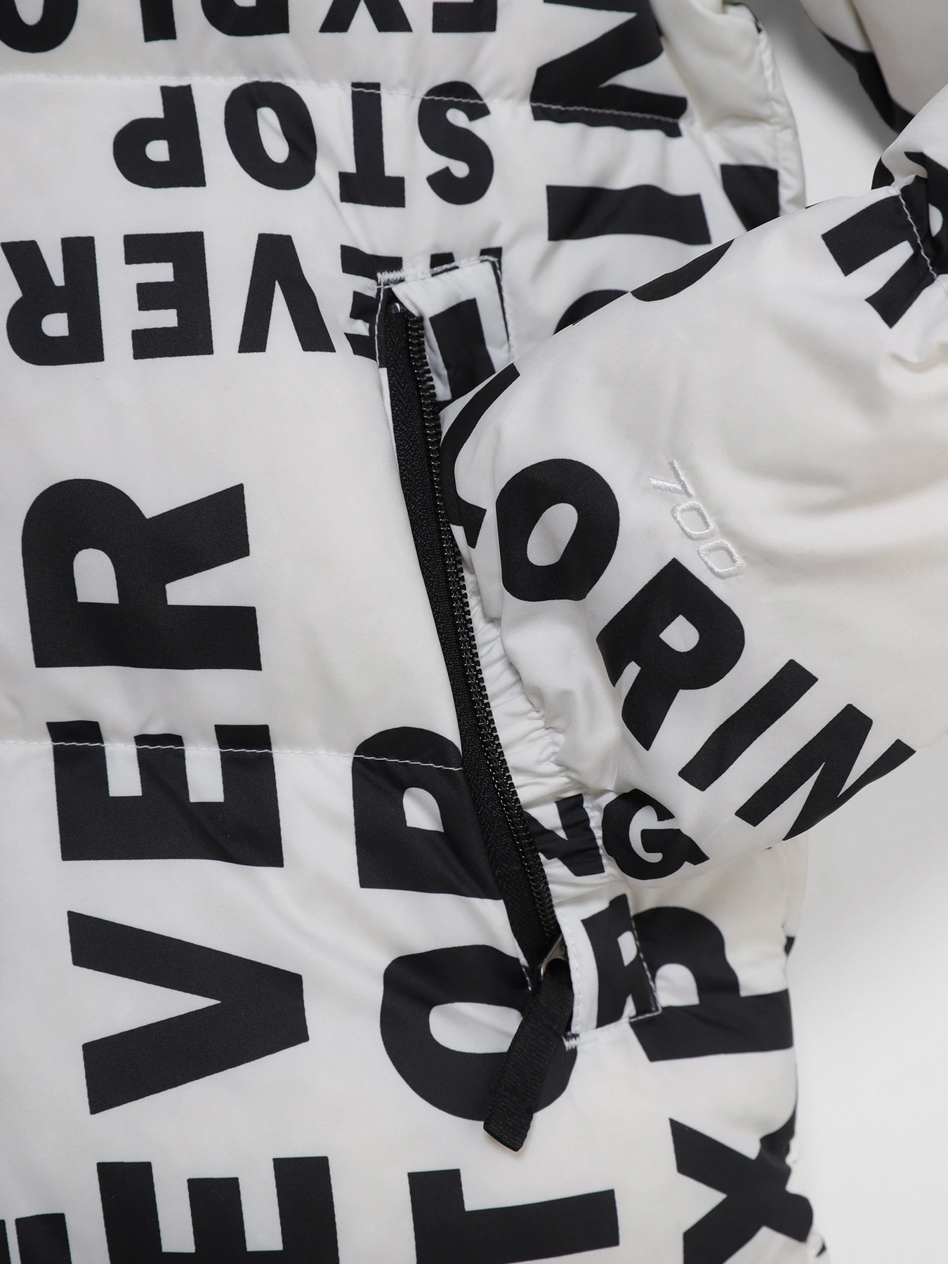 Куртки и дубленки The North Face 1996 Printed Retro Nuptse модель NF0A5IYC2B21 Куртки и дубленки The North Face 1996 Printed Retro Nuptse модель NF0A5IYC2B21 Фото